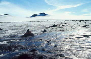 Comp image : torf0907 : On the Torfaj&ouml;kull [Torfajokull] icecap, southern Iceland