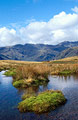 Mossy grass tufts in a small tarn on Blea Rigg, over Great Langdale in the English Lake District, with Crinkle Crags under a blue autumn sky in the distance